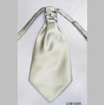 Plastron_1.jpg