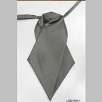 Plastron_2.jpg